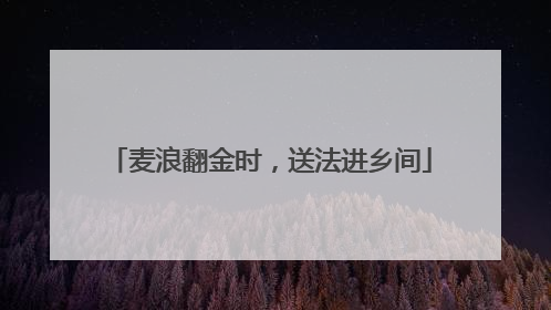 麦浪翻金时，送法进乡间