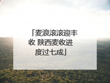 麦浪滚滚迎丰收 陕西麦收进度过七成