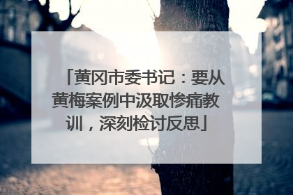 黄冈市委书记：要从黄梅案例中汲取惨痛教训，深刻检讨反思