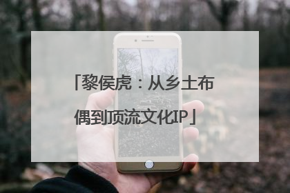 黎侯虎：从乡土布偶到顶流文化IP