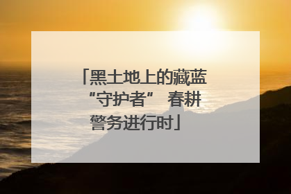 黑土地上的藏蓝“守护者” 春耕警务进行时
