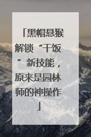 黑帽悬猴解锁“干饭”新技能，原来是园林师的神操作