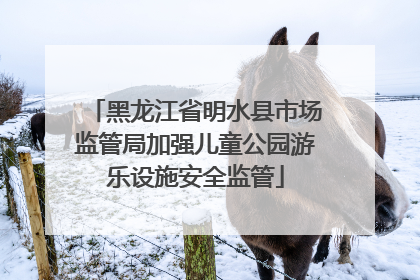 黑龙江省明水县市场监管局加强儿童公园游乐设施安全监管