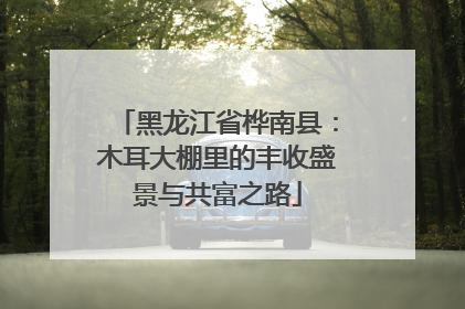 黑龙江省桦南县：木耳大棚里的丰收盛景与共富之路