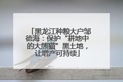 黑龙江种粮大户邹德海：保护“耕地中的大熊猫”黑土地，让增产可持续