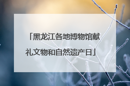 黑龙江各地博物馆献礼文物和自然遗产日