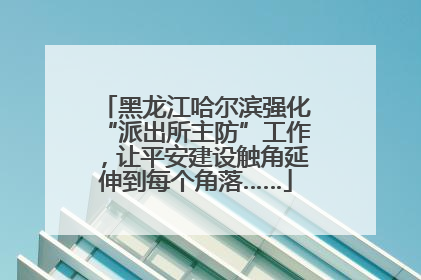 黑龙江哈尔滨强化“派出所主防”工作，让平安建设触角延伸到每个角落……