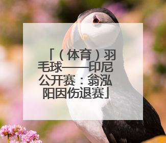 （体育）羽毛球——印尼公开赛：翁泓阳因伤退赛