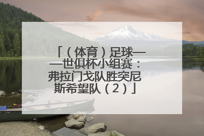 （体育）足球——世俱杯小组赛：弗拉门戈队胜突尼斯希望队（2）
