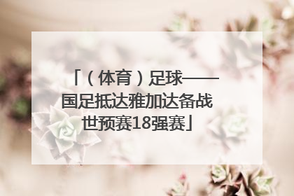 （体育）足球——国足抵达雅加达备战世预赛18强赛