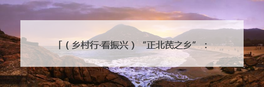 （乡村行·看振兴）“正北芪之乡”：千年草本焕活力 药材生“金”富农家