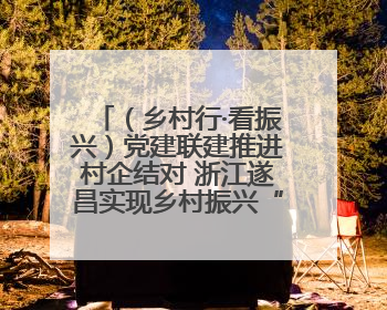 （乡村行·看振兴）党建联建推进村企结对 浙江遂昌实现乡村振兴“加速度”