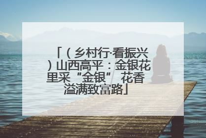 （乡村行·看振兴）山西高平：金银花里采“金银” 花香溢满致富路