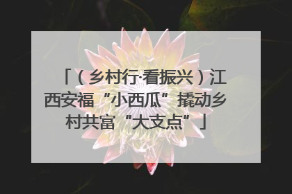（乡村行·看振兴）江西安福“小西瓜”撬动乡村共富“大支点”