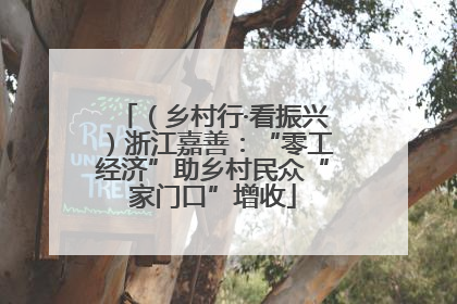 （乡村行·看振兴）浙江嘉善：“零工经济”助乡村民众“家门口”增收