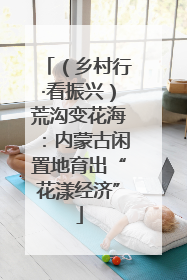 （乡村行·看振兴）荒沟变花海：内蒙古闲置地育出“花漾经济”