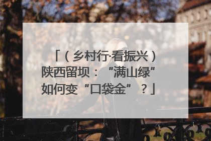 (乡村行·看振兴)陕西留坝:“满山绿”如何变“口袋金”?