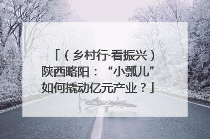 （乡村行·看振兴）陕西略阳：“小瓢儿”如何撬动亿元产业？