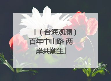 （台海观澜）百年中山路 两岸共潮生