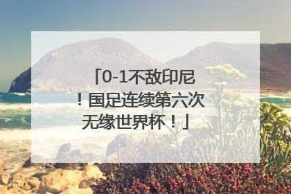 0-1不敌印尼！国足连续第六次无缘世界杯！