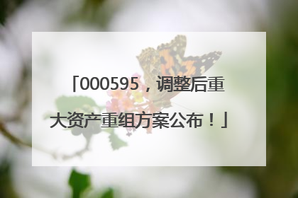 000595，调整后重大资产重组方案公布！