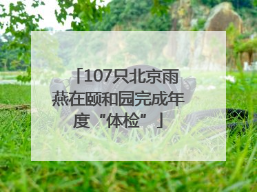 107只北京雨燕在颐和园完成年度“体检”