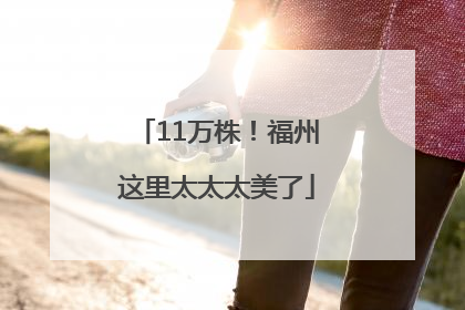 11万株！福州这里太太太美了