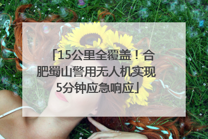 15公里全覆盖！合肥蜀山警用无人机实现5分钟应急响应