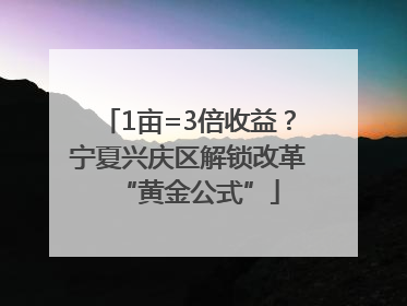 1亩=3倍收益？宁夏兴庆区解锁改革“黄金公式”