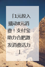 1元投入撬动8元消费！支付宝助力合肥激发消费活力