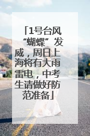 1号台风“蝴蝶”发威，周日上海将有大雨雷电，中考生请做好防范准备