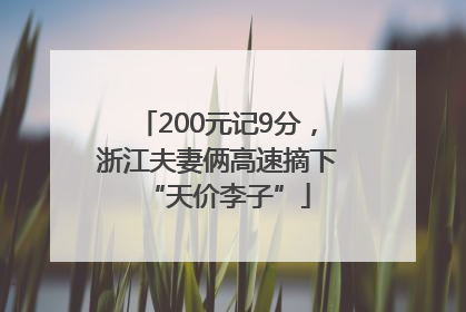 200元记9分，浙江夫妻俩高速摘下“天价李子”