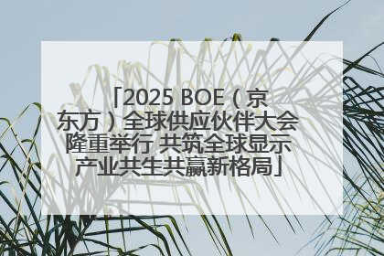 2025 BOE（京东方）全球供应伙伴大会隆重举行 共筑全球显示产业共生共赢新格局