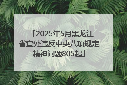 2025年5月黑龙江省查处违反中央八项规定精神问题805起