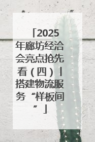 2025年廊坊经洽会亮点抢先看（四）丨搭建物流服务“样板间”