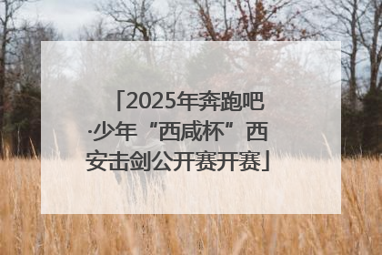 2025年奔跑吧·少年“西咸杯”西安击剑公开赛开赛