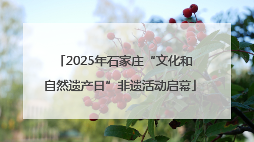 2025年石家庄“文化和自然遗产日”非遗活动启幕