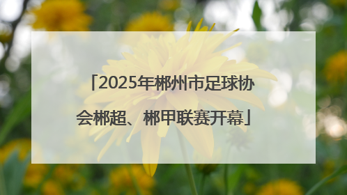2025年郴州市足球协会郴超、郴甲联赛开幕
