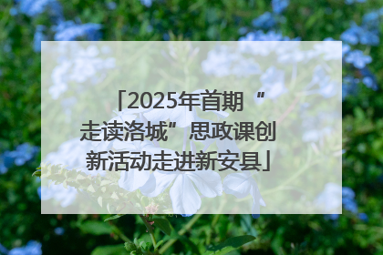 2025年首期“走读洛城”思政课创新活动走进新安县