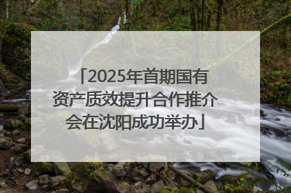 2025年首期国有资产质效提升合作推介会在沈阳成功举办