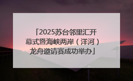 2025苏台邻里汇开幕式暨海峡两岸（洋河）龙舟邀请赛成功举办