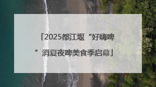 2025都江堰“好嗨啤”消夏夜啤美食季启幕