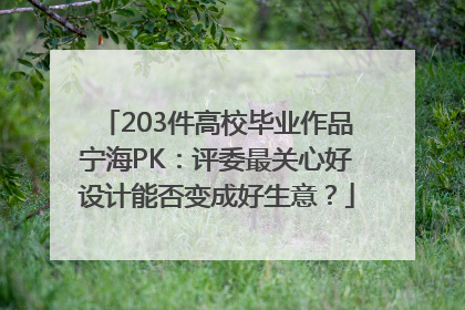 203件高校毕业作品宁海PK：评委最关心好设计能否变成好生意？