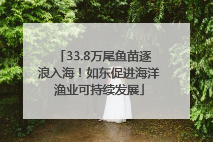 33.8万尾鱼苗逐浪入海！如东促进海洋渔业可持续发展