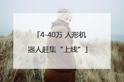 4-40万 人形机器人赶集“上线”