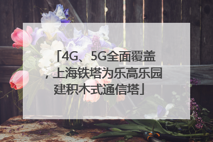 4G、5G全面覆盖，上海铁塔为乐高乐园建积木式通信塔