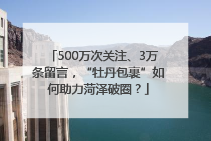 500万次关注、3万条留言，“牡丹包裹”如何助力菏泽破圈？