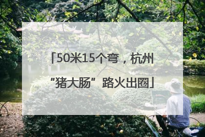 50米15个弯，杭州“猪大肠”路火出圈