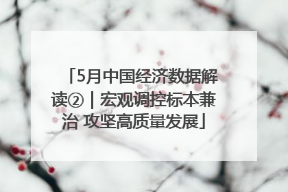 5月中国经济数据解读②｜宏观调控标本兼治 攻坚高质量发展