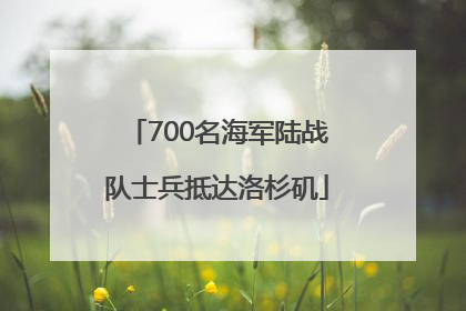 700名海军陆战队士兵抵达洛杉矶